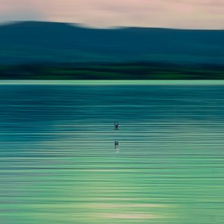 Blurred Seascape with Bird