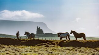 Mullaghmore Horses