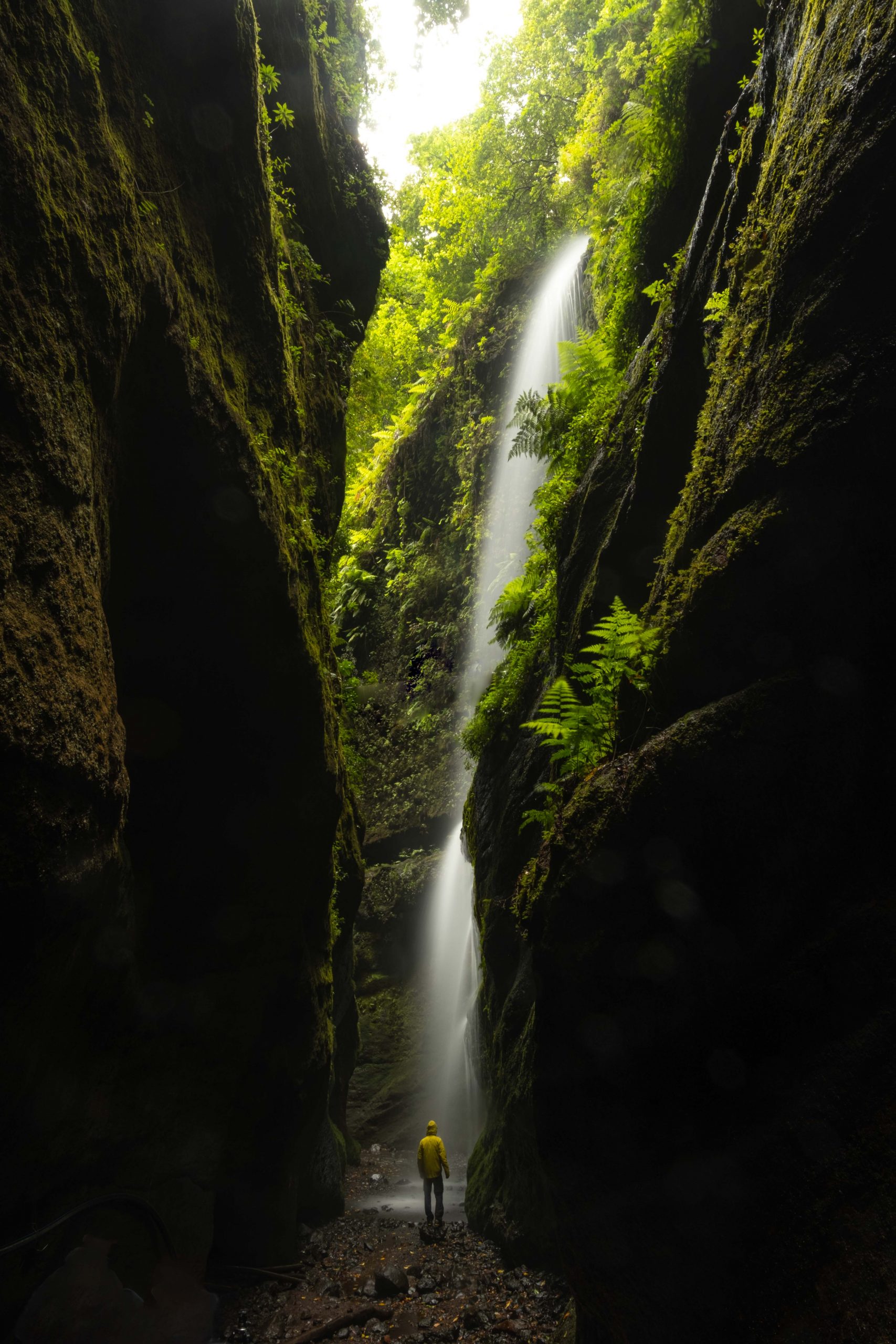 waterfall la palma