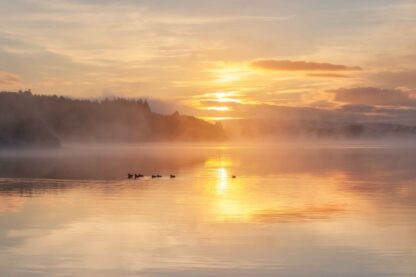 Turneresque Lough Gill Sunrise